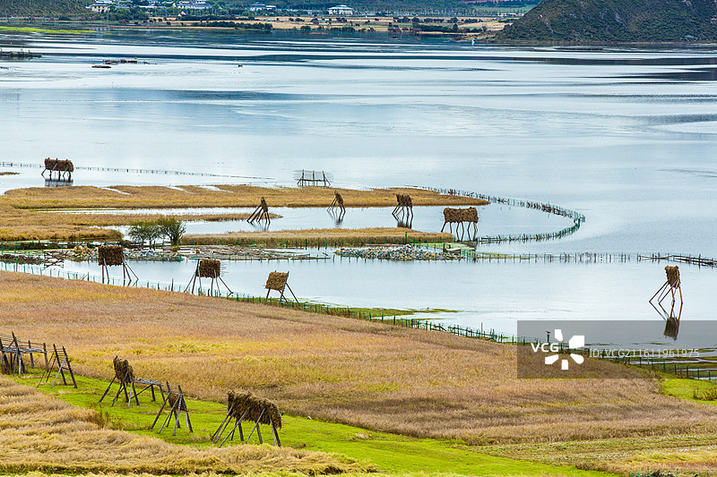 中国云南省迪庆藏族自治州香格里拉县纳帕海自然保护区图片素材