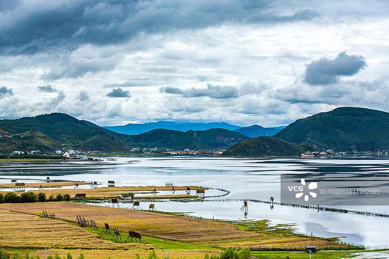 中国云南省迪庆藏族自治州香格里拉县纳帕海自然保护区图片素材