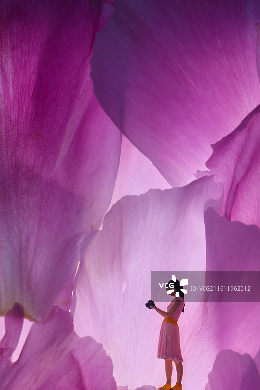 食玩模型图片素材