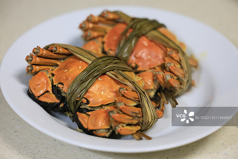 阳澄湖大闸蟹特写图片素材