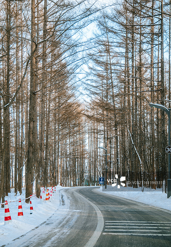 冬天的吉林长春净月潭国家森林公园 小森林浴场雪景图片素材