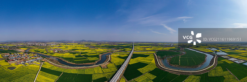 湖北钟祥长滩廖台村的油菜花和建设中的沿江高铁高架桥图片素材