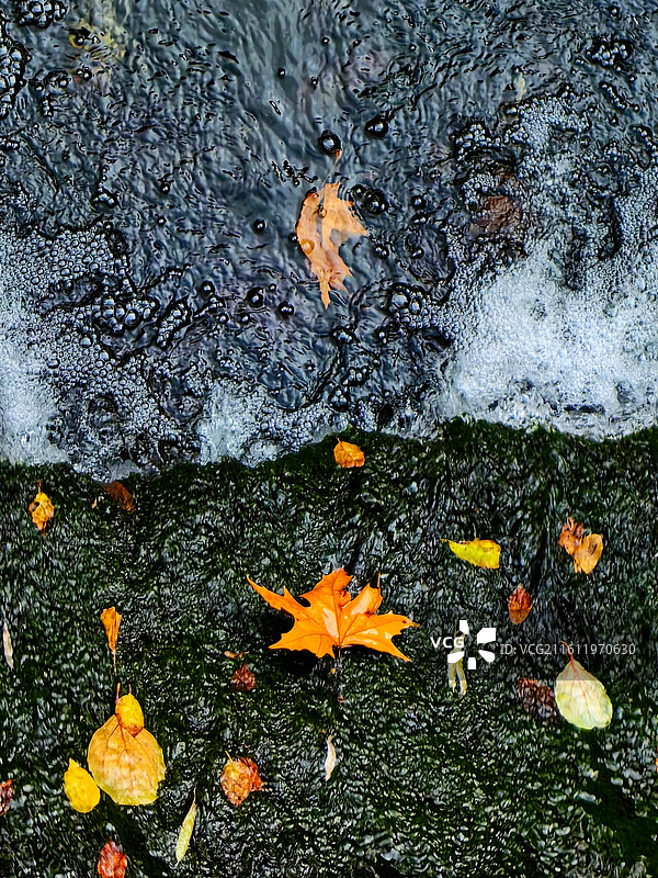 秋水悠悠图片素材