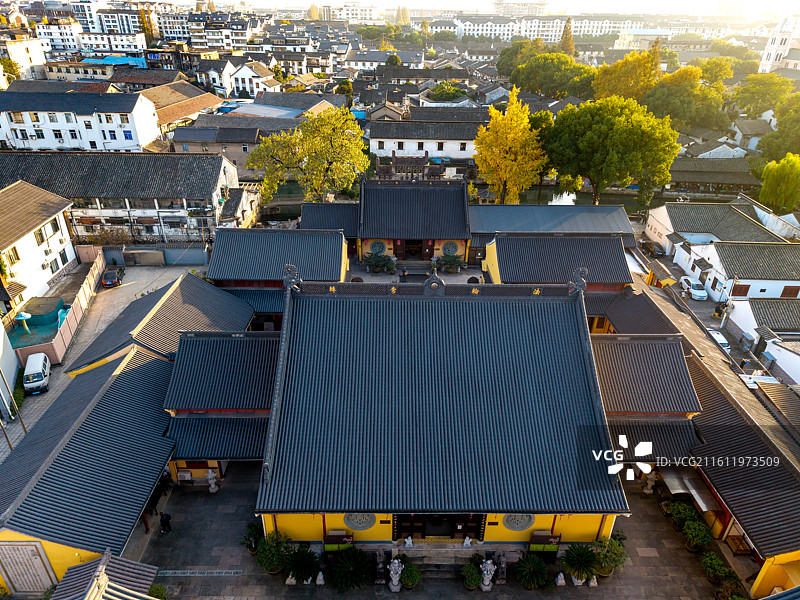 绍兴八字桥龙华古寺银杏图片素材