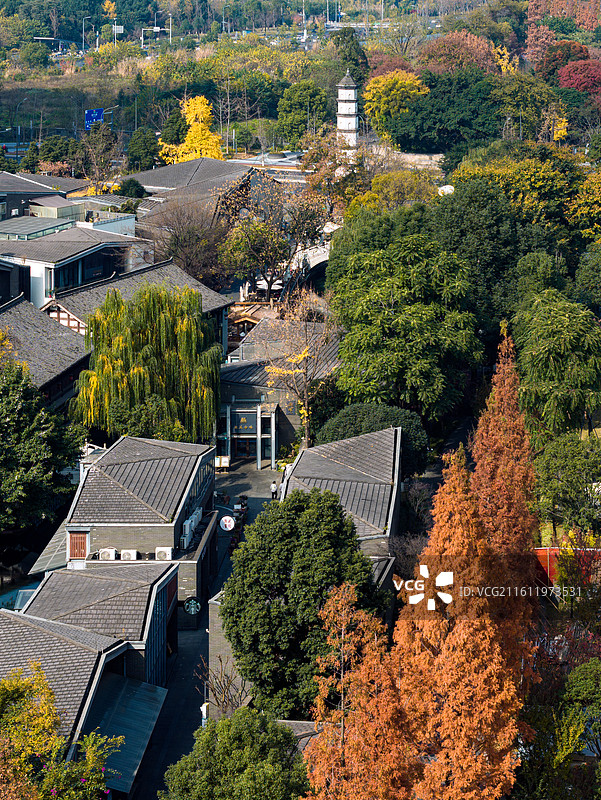 中国四川成都铁像寺水街回澜塔冬季航拍图图片素材