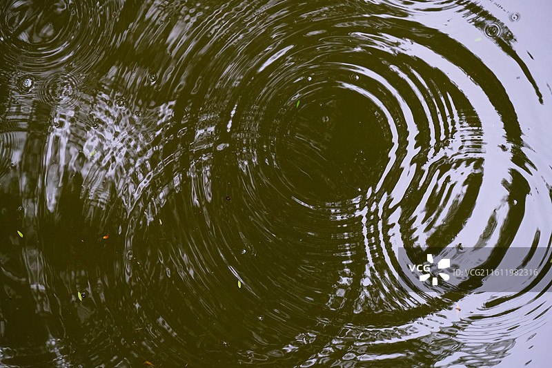 湖水雨中涟漪的特写镜头图片素材
