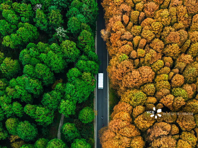 重庆，山王坪秋色图片素材