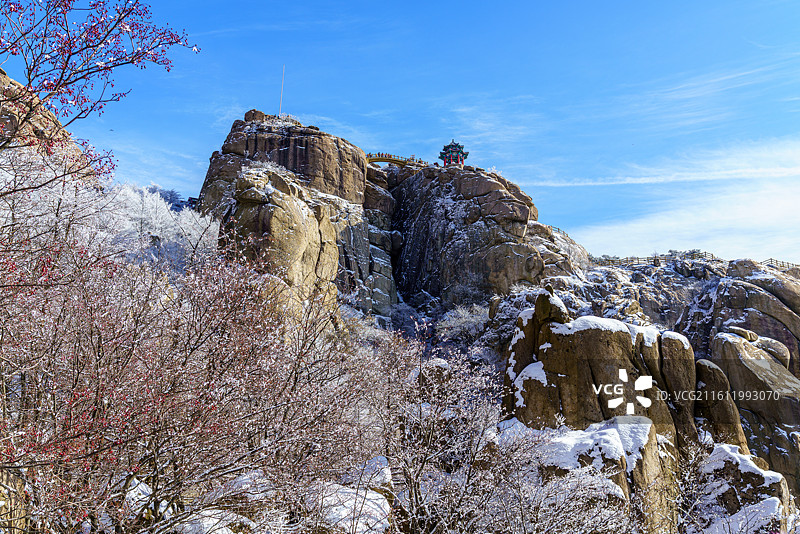 雪后天晴，崂山巨峰景区出现雾凇景观图片素材