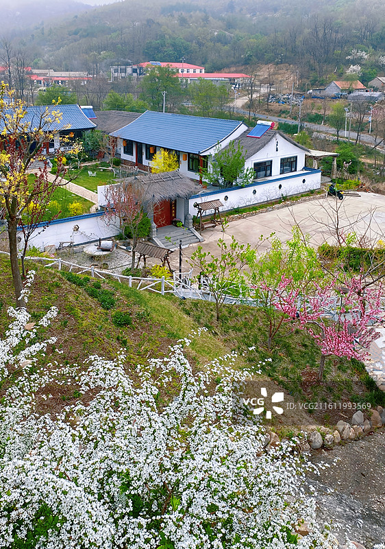 大连庄河乡村旅游民宿春花烂漫图片素材
