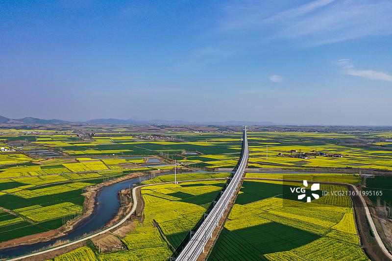 湖北钟祥长滩廖台村的油菜花和建设中的沿江高铁高架桥图片素材