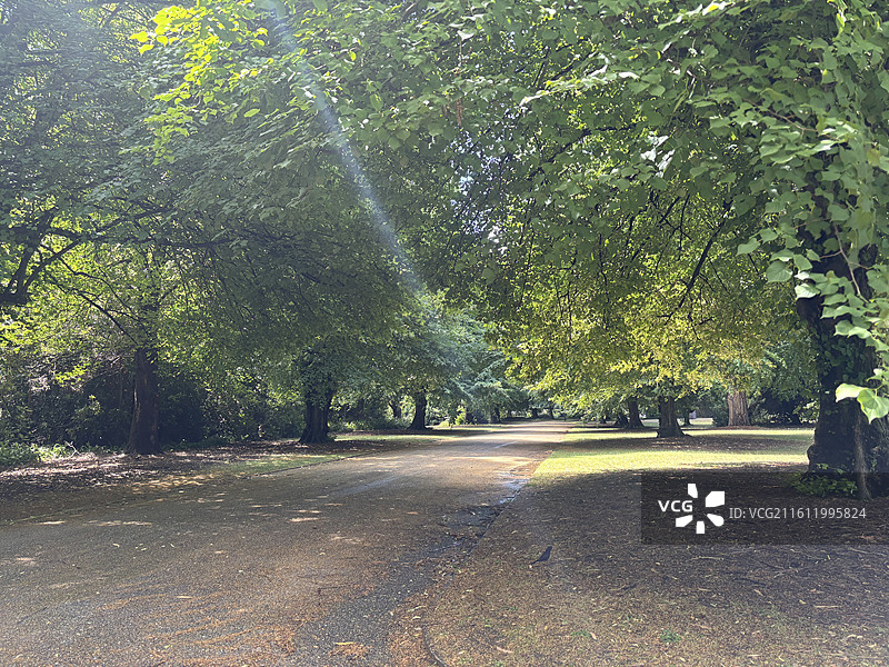 基督城植物园和雅芳河图片素材