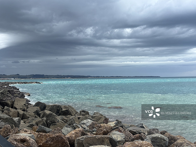 奥马鲁海滩海狮图片素材