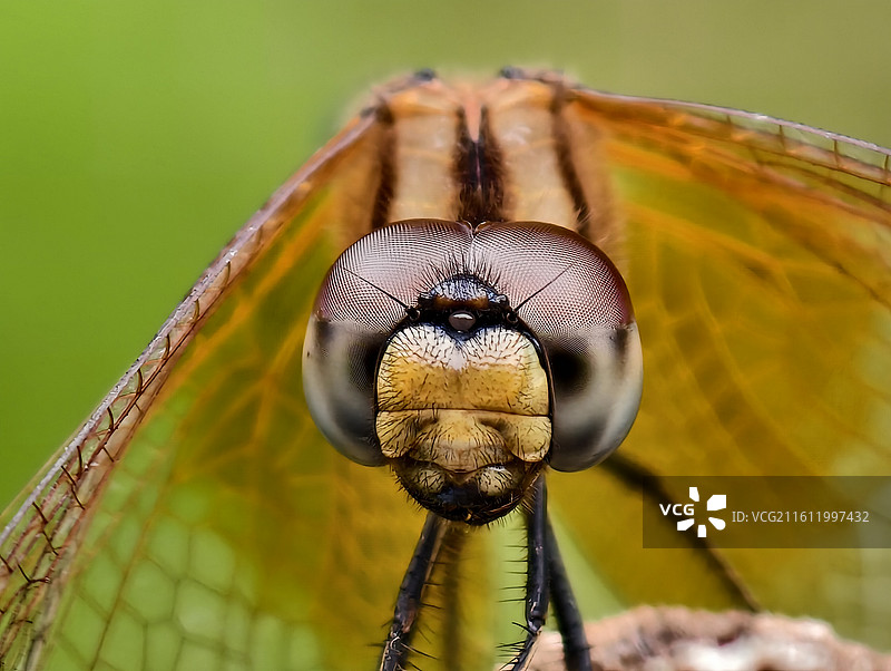 锐目凝光图片素材