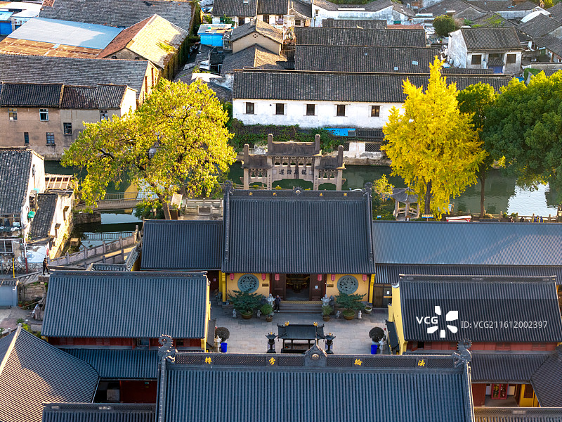 绍兴八字桥龙华古寺银杏图片素材