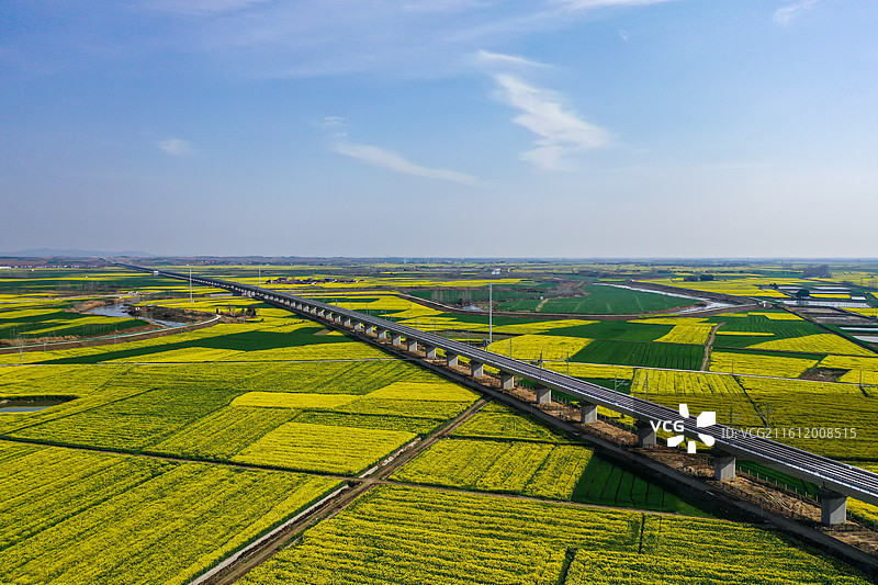 湖北钟祥长滩廖台村的油菜花和建设中的沿江高铁高架桥图片素材