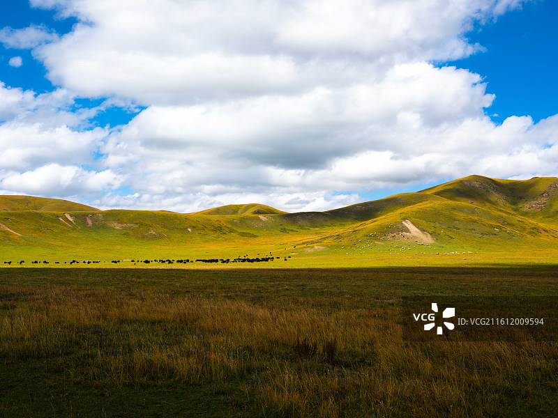 川西之甘孜德格白玉石渠之旅图片素材