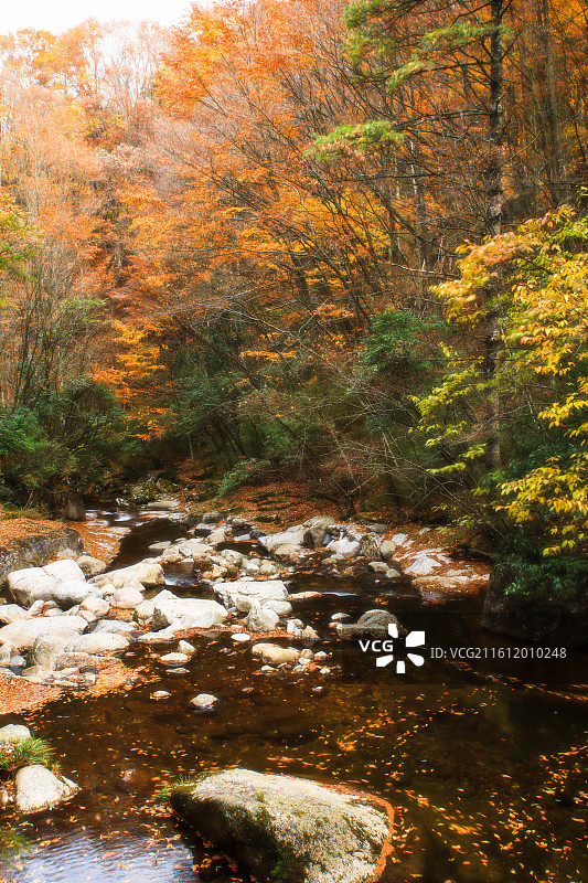 十八月潭晚秋景色图片素材