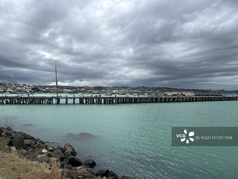 奥马鲁海滩海狮图片素材