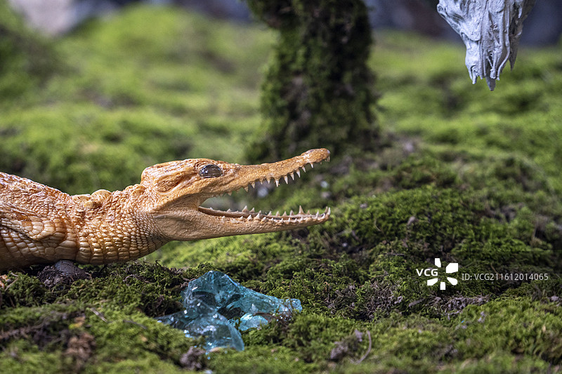 微缩模型图片素材