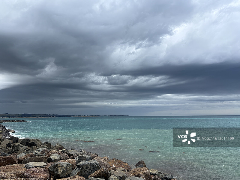 奥马鲁海滩海狮图片素材