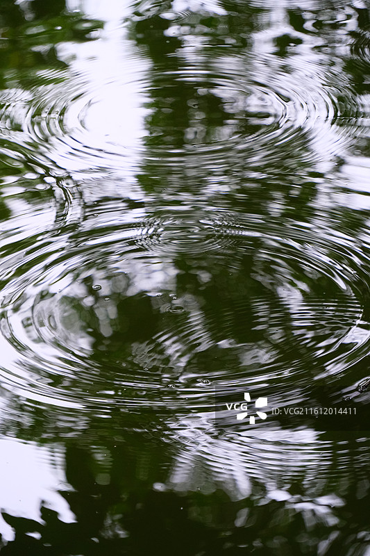 湖水雨中涟漪的特写镜头图片素材