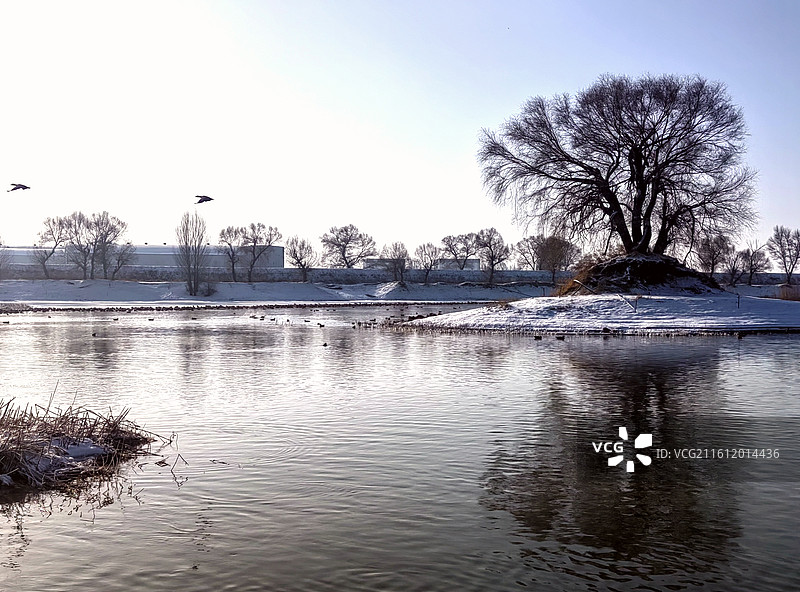 呼和浩特千岛湖冬景图片素材