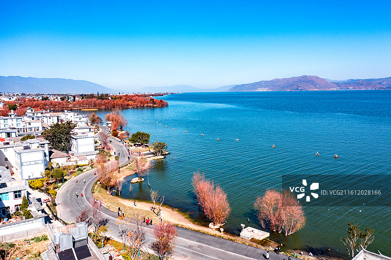 大理洱海生态廊道图片素材