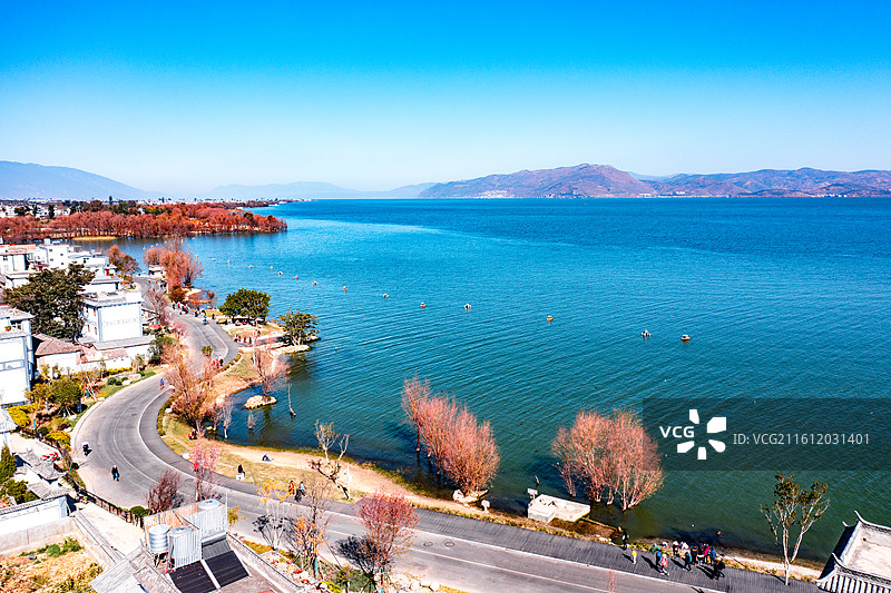 大理洱海生态廊道图片素材