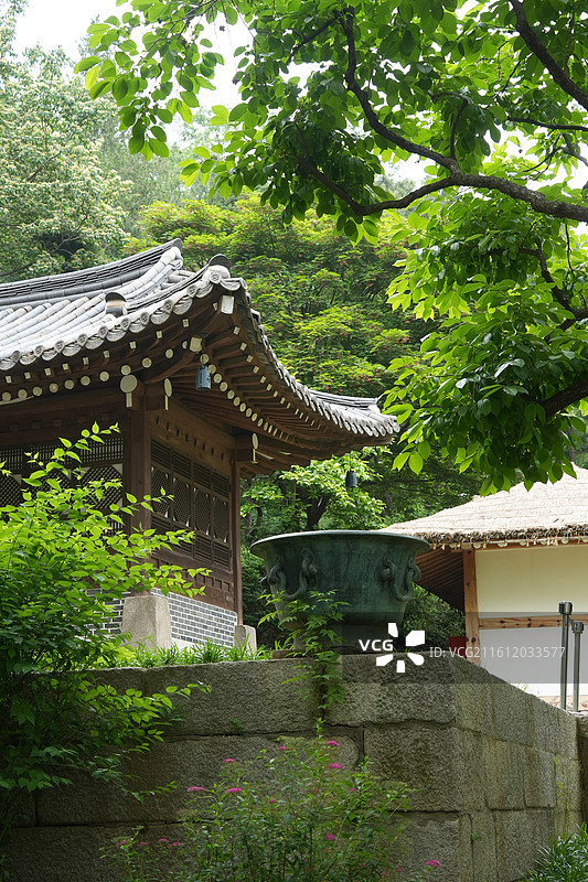 首尔街头city walk图片素材