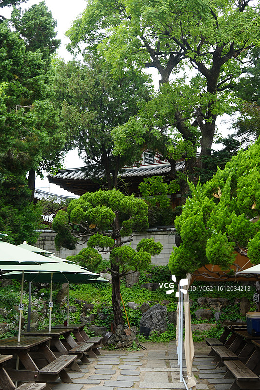 首尔街头city walk图片素材