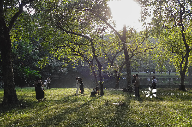 中国广东广州-中国科学院华南植物园-园林风景。徒步，散步，园林景色。奇花异草。图片素材