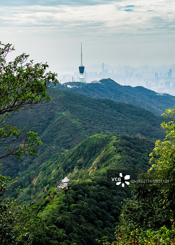 深圳梧桐山图片素材