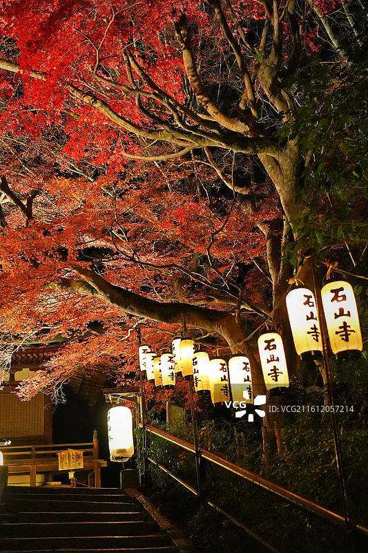 日本滋贺石山寺，秋天红色枫叶和灯笼，观赏夜枫图片素材