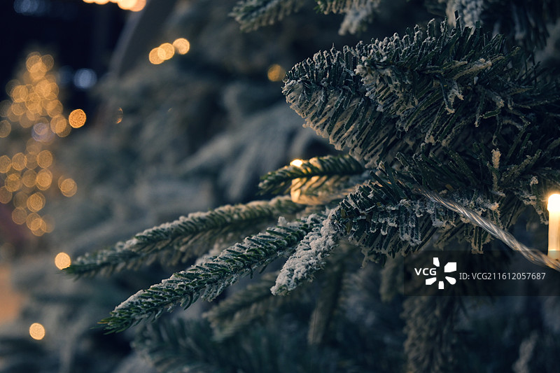 圣诞树图片素材