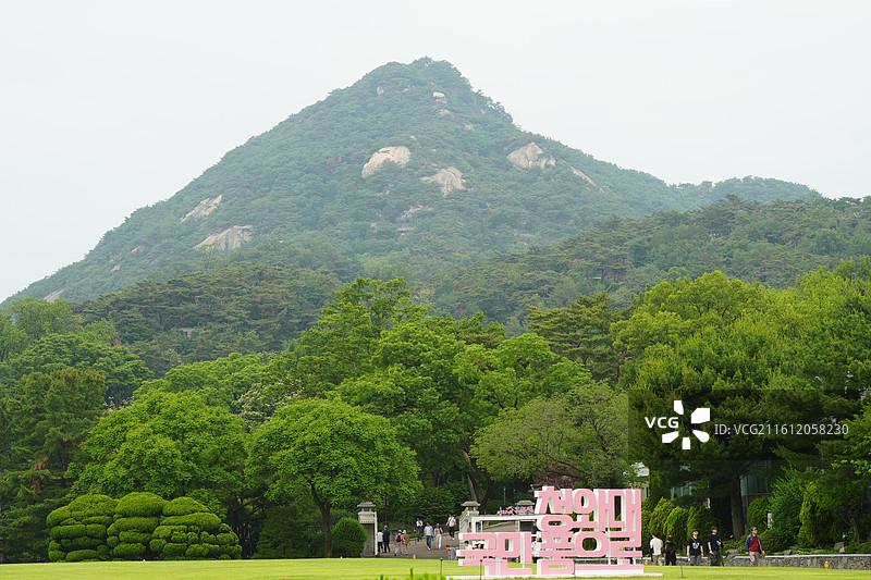 首尔街头city walk图片素材