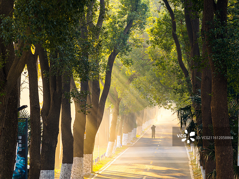 清晨，乡间道路散发的丁达尔光线，一个人在拍摄图片素材