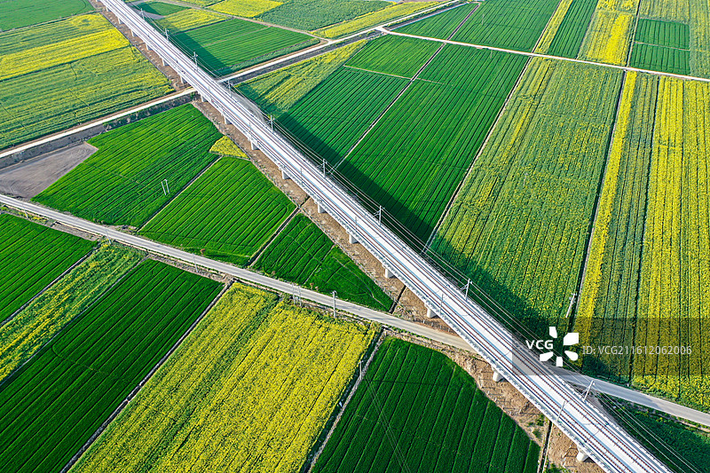 湖北钟祥廖台村的农田花开和高铁桥图片素材
