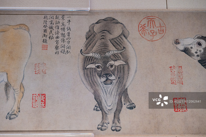 故宫博物院 百年守护展 唐 韩滉 五牛图卷（仿制品）纸本  禁止出境文物图片素材