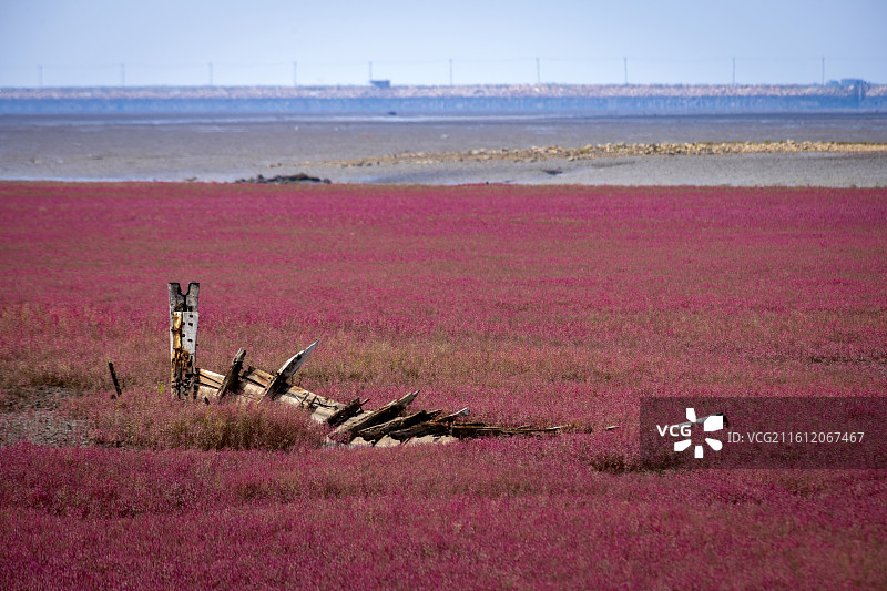营口红海滩湿地，古旧的木船图片素材