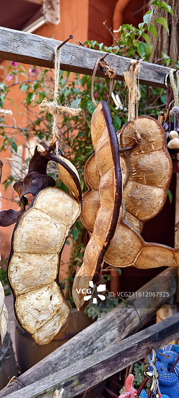 云南普洱～那柯里-茶马古道，豆荚图片素材