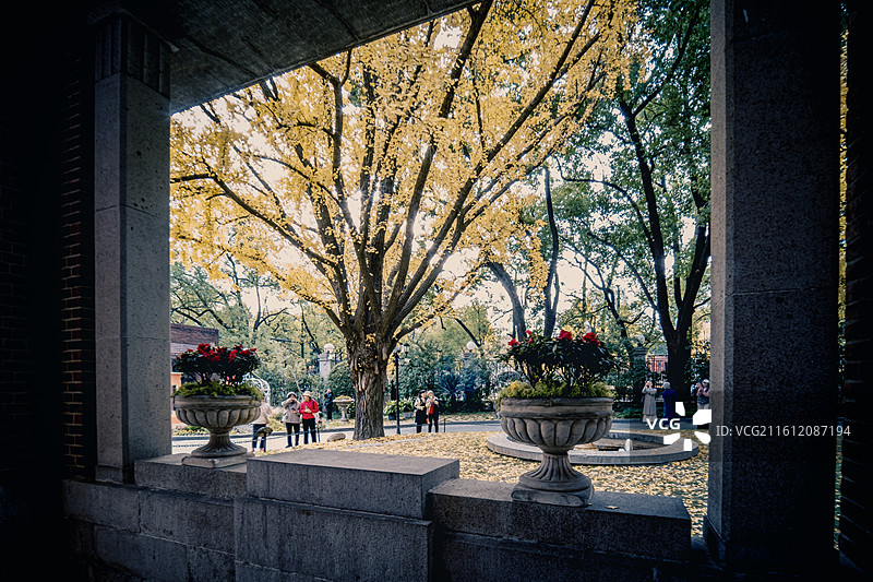 瑞金宾馆3图片素材