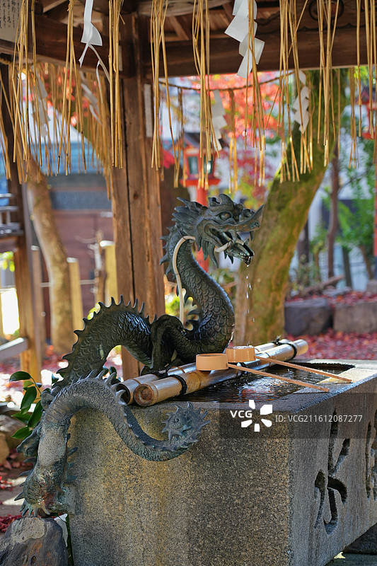 日本滋贺长等神社，御手洗的龙雕像特写图片素材