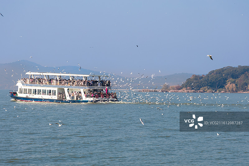 无锡鼋头渚景区秋色图片素材