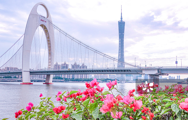 广州市猎德大桥和广州塔图片素材