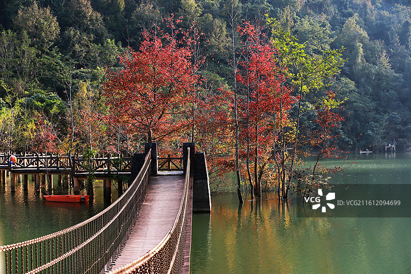 4A级旅游景区广西德保红枫森林公园，枫叶斑斓、湖光山色、林翠花香图片素材