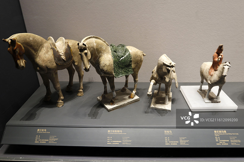 贵州省博物馆唐三彩马图片素材
