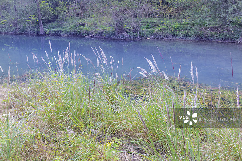 湖北省宜昌市，远安县鸣凤山明心潭，丹霞地貌，碧水，芦花白，国家4A级景区图片素材