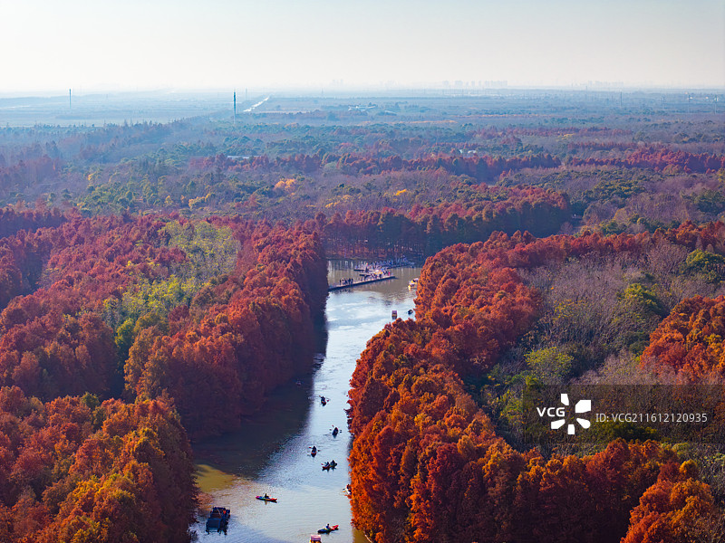 航拍红杉林湿地秋色图片素材