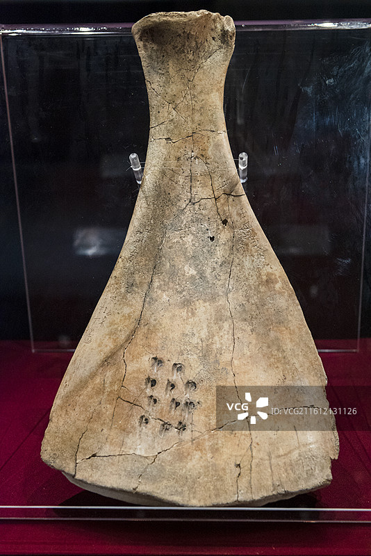 刻辞卜骨 商朝 安阳殷墟遗址出土 中国社会科学院考古研究所藏 北京通州大运河博物馆“看见殷商”特展图片素材