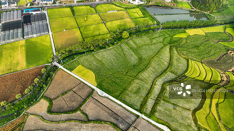 贵州省遵义市播州区枫香镇花茂村田园风光图片素材